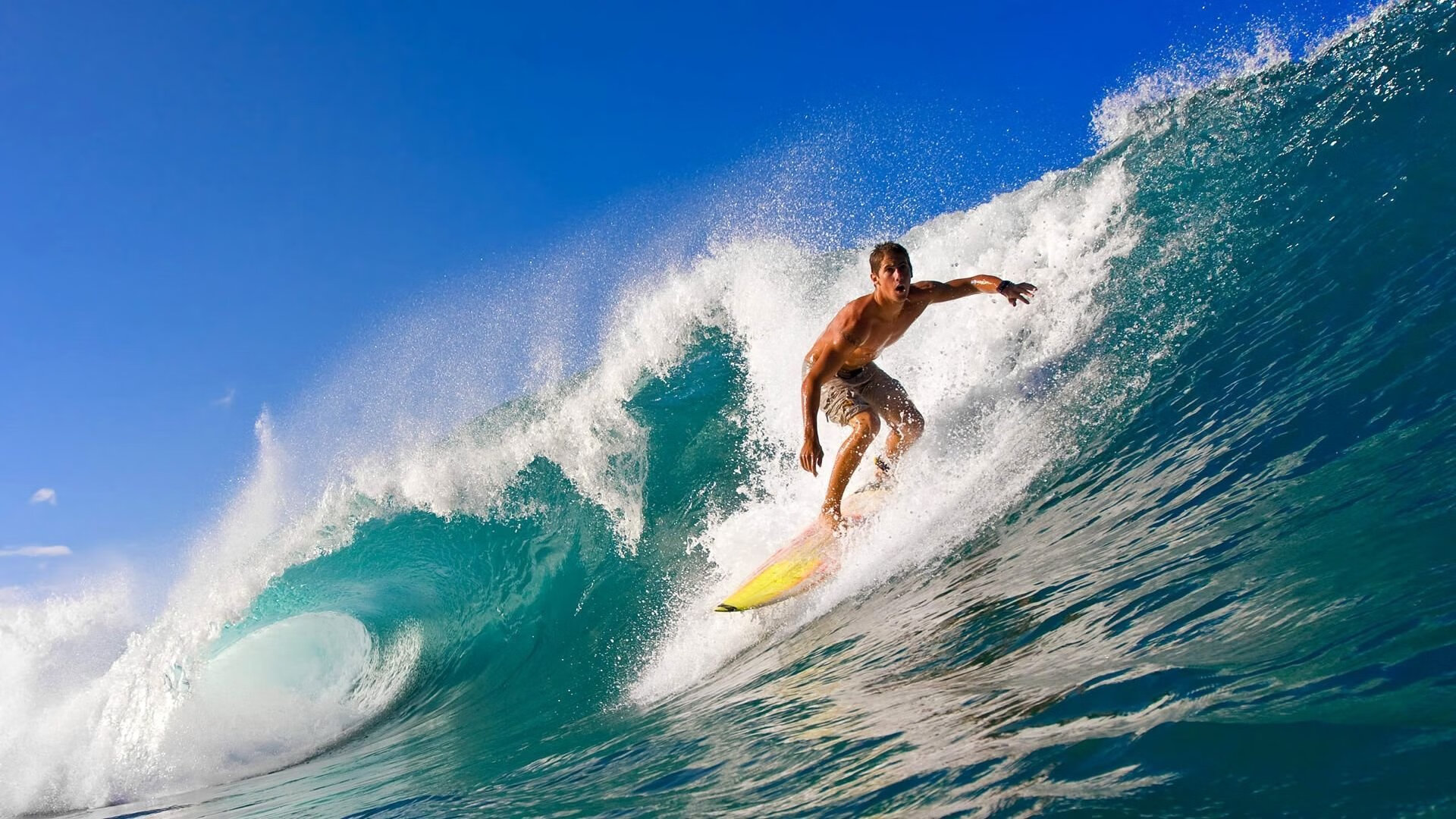 体操比赛展现高水平竞技能力